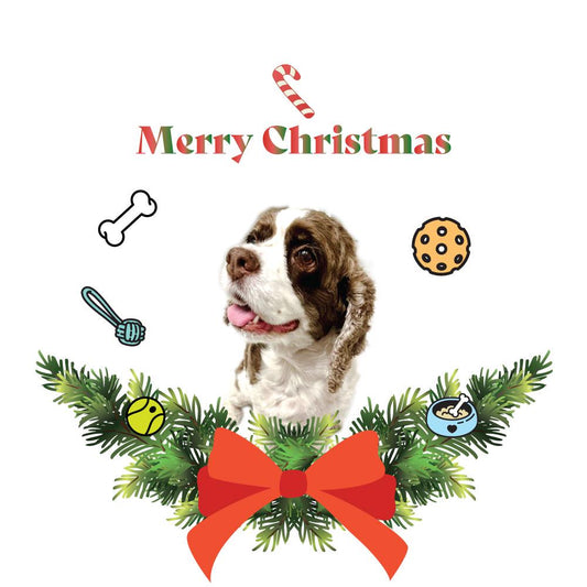 Jolly & Bright Decals - From joyful texts to festive photos, these stickers are made to make your Christmas brighter, gift jar, gift box