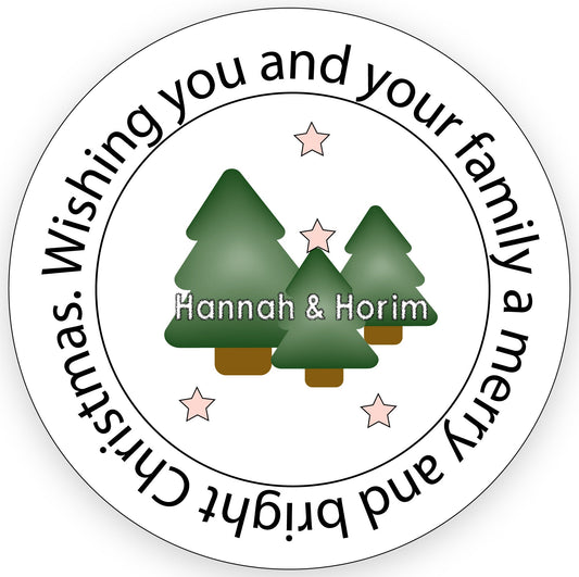 Custom Merry Christmas Mason Jar Labels, Christmas Canning Favor Stickers, Personalized Christmas Stickers, Treat Bag Stickers