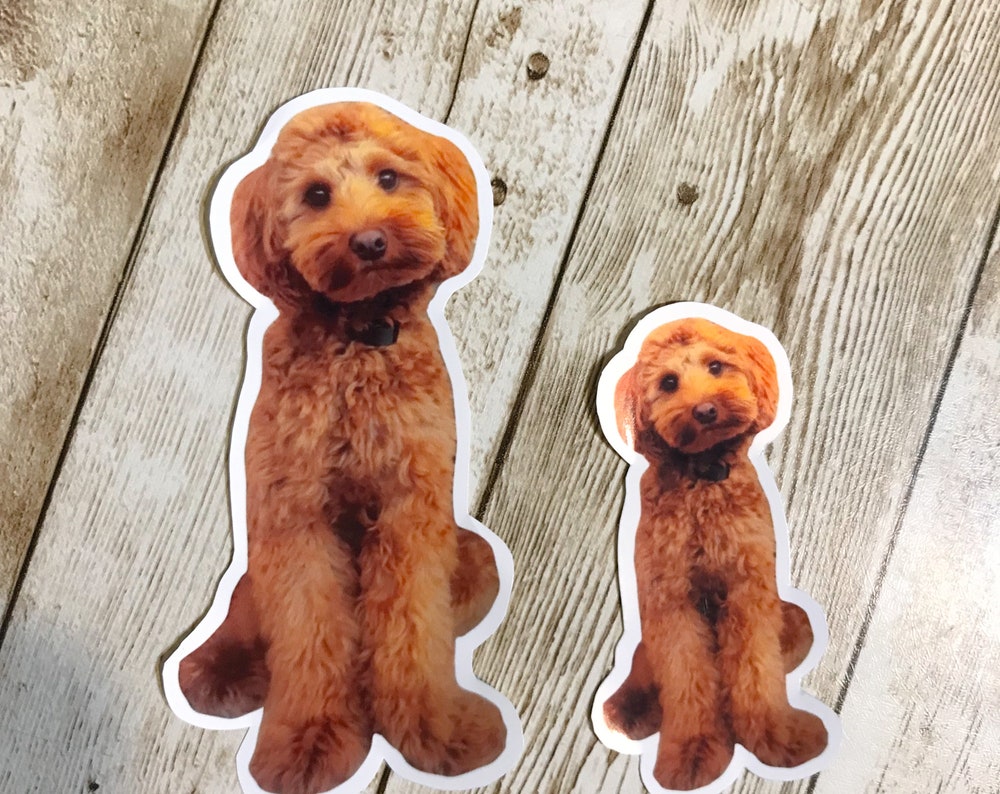 Custom Dog Photo Sticker – Pet Cutout Stickers, Personalized Waterproof or Laminated, Die-Cut Vinyl Look